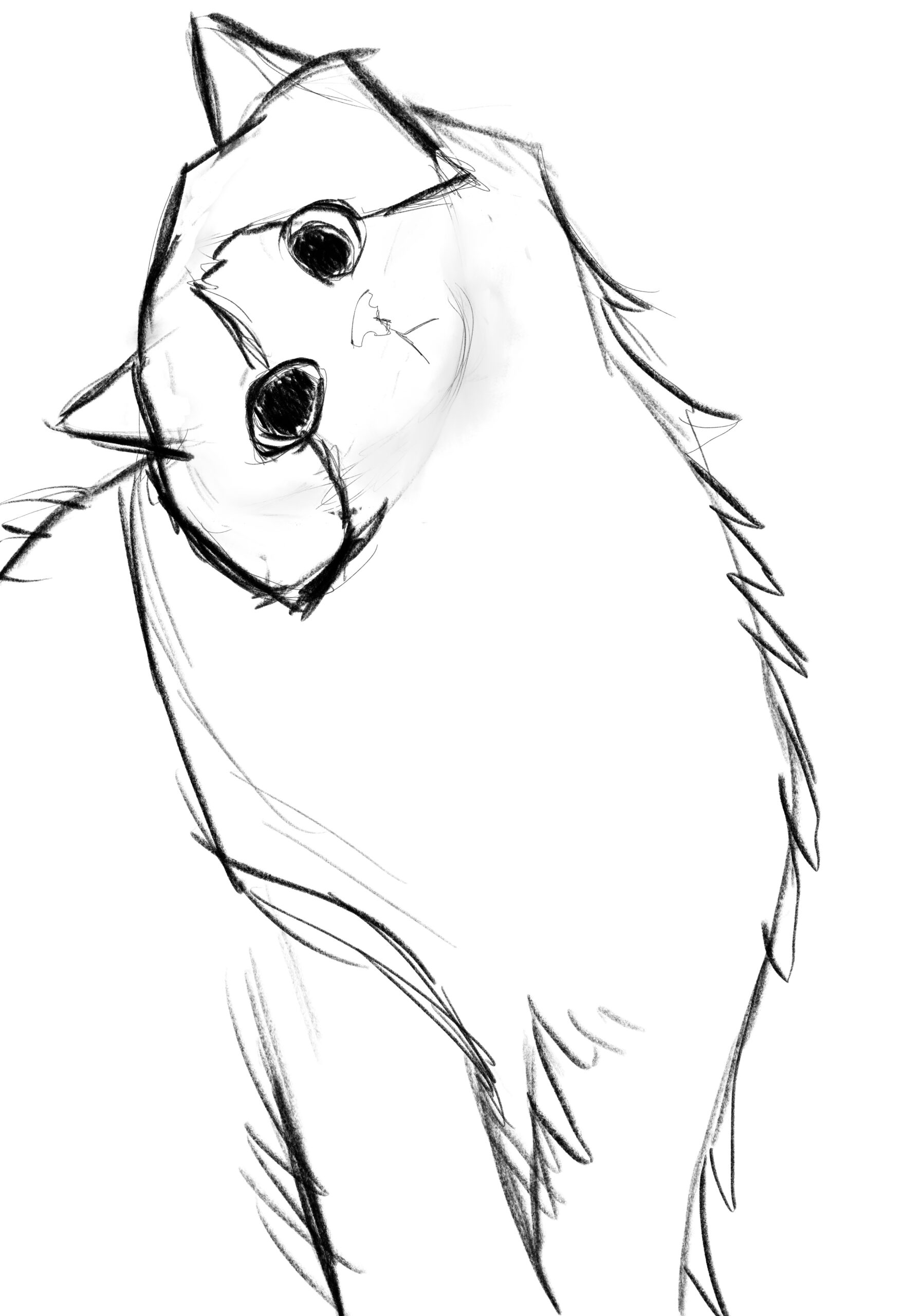 More Cat Studies - Lavender Hearts